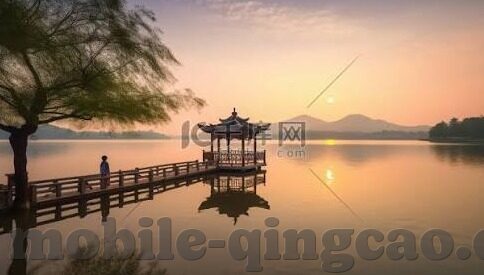 成人超碰免费在线视频-成人超碰免费在线视频，网络时代的灰色地带与道德边界