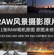 大象传媒app下载最新版-探索大象传媒APP，最新版下载指南与用户体验