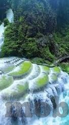 国产一区二区在线看-国产一区二区在线观看，网络文化的新视角与挑战