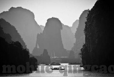 麻豆91av-麻豆91AV的虚拟现实之旅，行业透视与内容创新