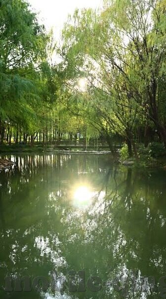 麻豆av免费在线看-麻豆AV的探讨，不可忽视的公共讨论议题