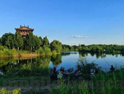 麻豆传媒视频在哪看-在线媒体多样化的时代，对麻豆传媒视频的合理访问与思考