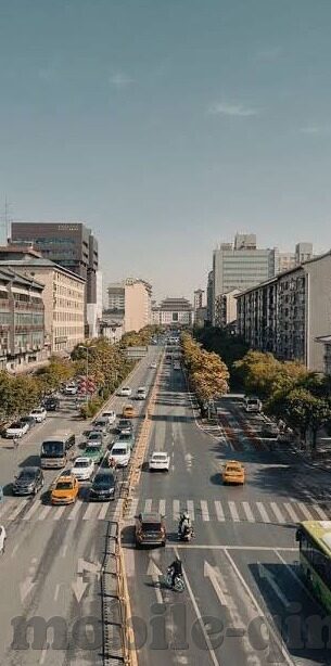 麻豆传媒映画合集-麻豆传媒映画合集——窥视多元艺术绽放的幻想乐园