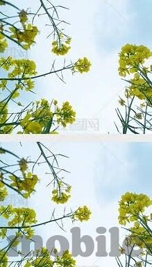 麻豆传媒在线视频观看-麻豆传媒，穿越数字迷雾的视觉盛宴