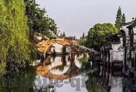 麻豆视频入口在线观看-