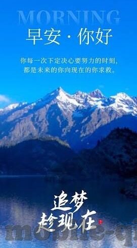 麻豆视频污-麻豆视频的真相与网络世界的纷繁