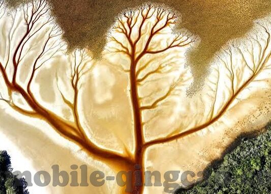 欧美伦理视频在线大全-欧美伦理视频，文化、艺术与个人选择的交汇点