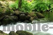 人妻互换-探索人妻角色互换，爱与挑战的双重旅程