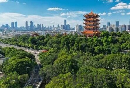 糖心app官网下载-有关糖心app的全面分析与使用指南
