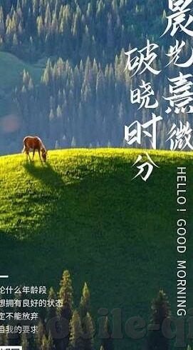 糖心app视频下载安装-完善网络行为，深入了解糖心app的使用与安全问题