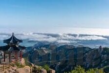 糖心app直播免费下载-解锁娱乐新视界，糖心app直播，免费下载体验指南